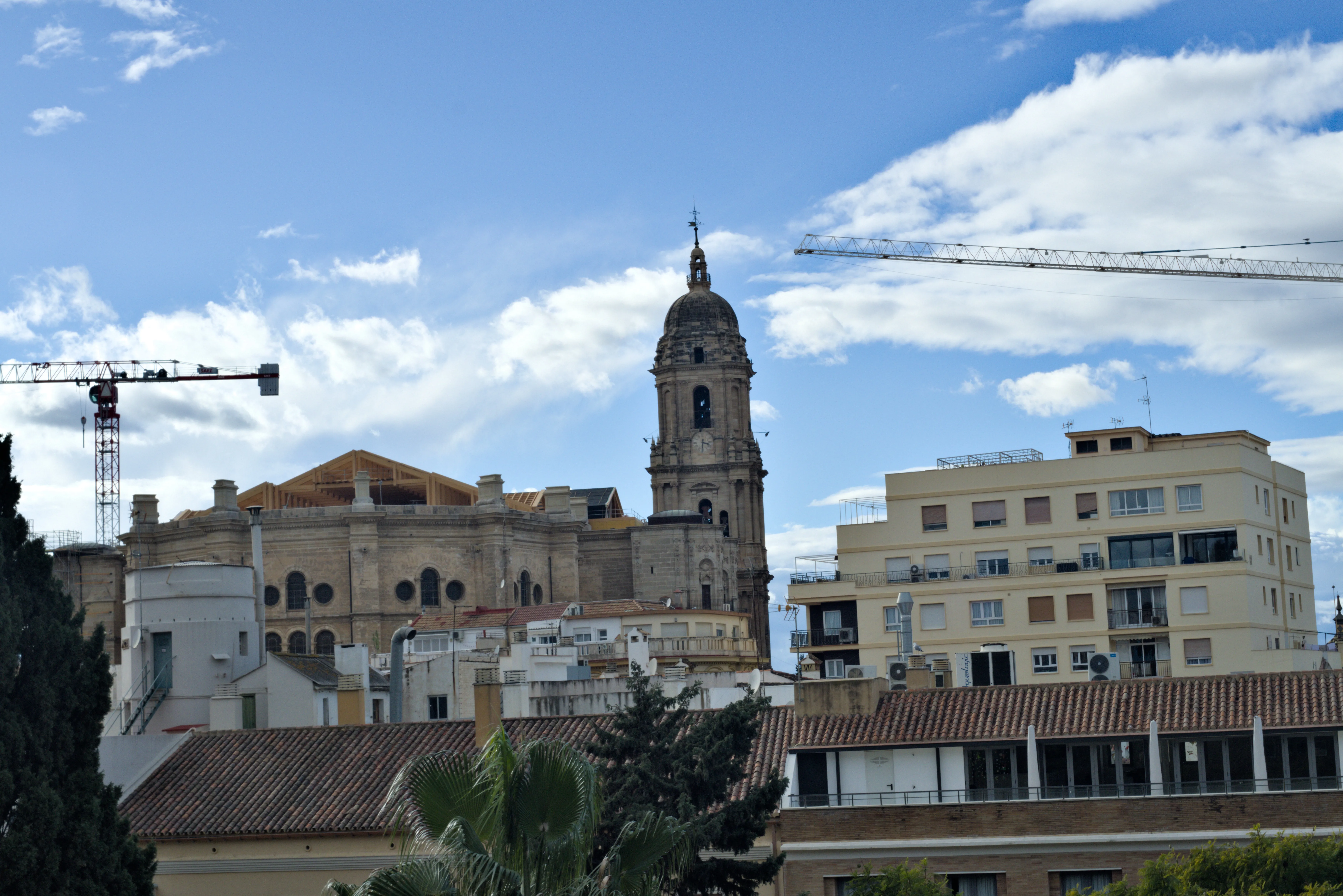 Meyer-Optik Görlitz Primagon 35mm f4.5 (M42) - _I4A7245.webp